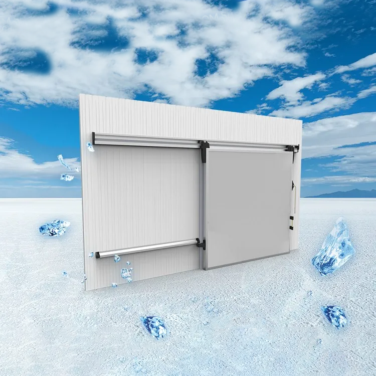 Cold Room Automatic Sliding Door