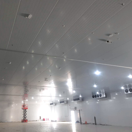 brd coldroom project in saudi arabia.jpg